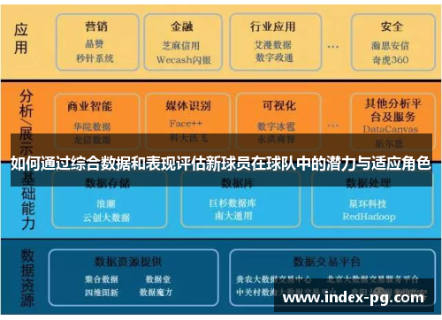 如何通过综合数据和表现评估新球员在球队中的潜力与适应角色