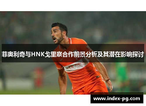 菲奥利奇与HNK戈里察合作前景分析及其潜在影响探讨