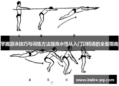 掌握游泳技巧与训练方法提高水性从入门到精通的全面指南