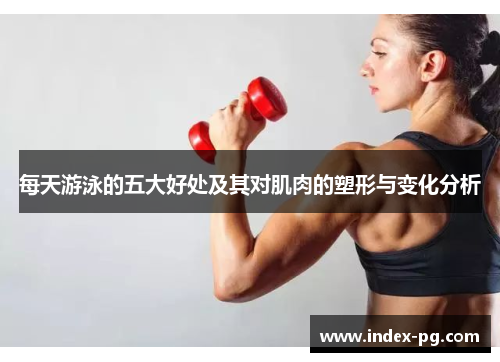 每天游泳的五大好处及其对肌肉的塑形与变化分析