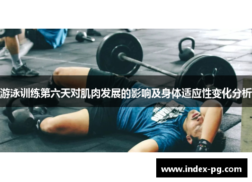 游泳训练第六天对肌肉发展的影响及身体适应性变化分析