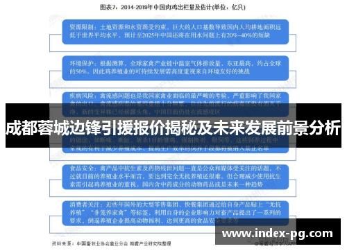 成都蓉城边锋引援报价揭秘及未来发展前景分析
