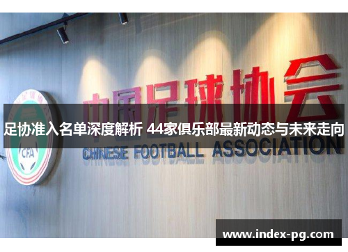 足协准入名单深度解析 44家俱乐部最新动态与未来走向
