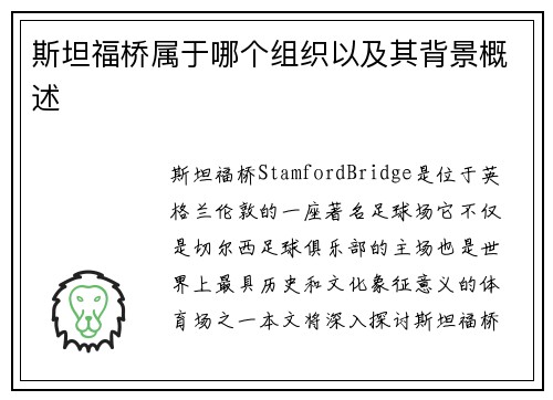 斯坦福桥属于哪个组织以及其背景概述
