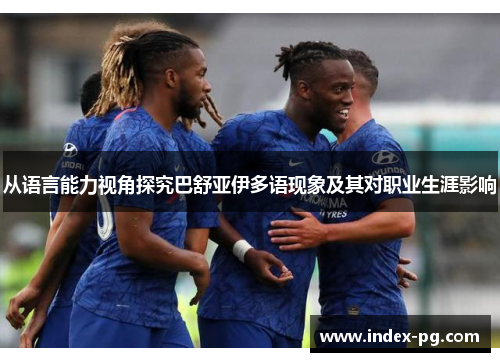 从语言能力视角探究巴舒亚伊多语现象及其对职业生涯影响 从语言能力视角探究巴舒亚伊多语现象及其对职业生涯影响