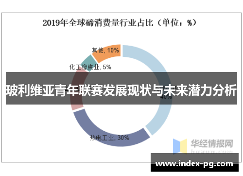 玻利维亚青年联赛发展现状与未来潜力分析