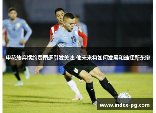 申花放弃续约费南多引发关注 他未来将如何发展和选择新东家 申花放弃续约费南多引发关注 他未来将如何发展和选择新东家