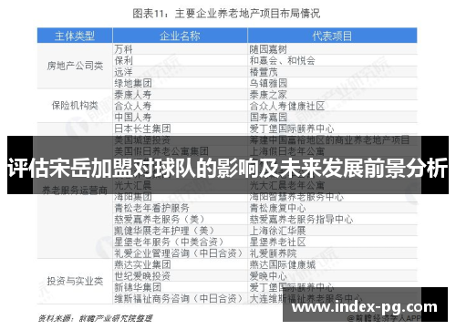 评估宋岳加盟对球队的影响及未来发展前景分析