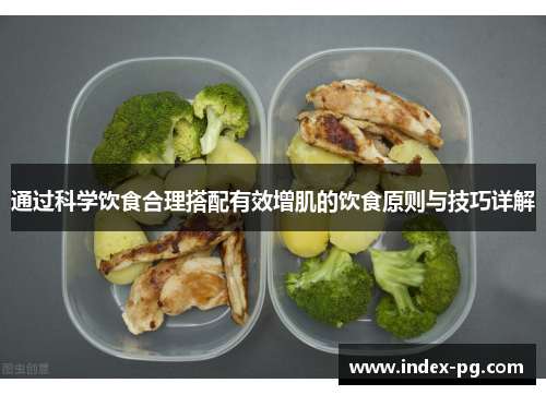 通过科学饮食合理搭配有效增肌的饮食原则与技巧详解